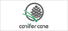 conifer cone