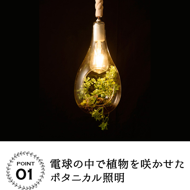 ボタニカル照明