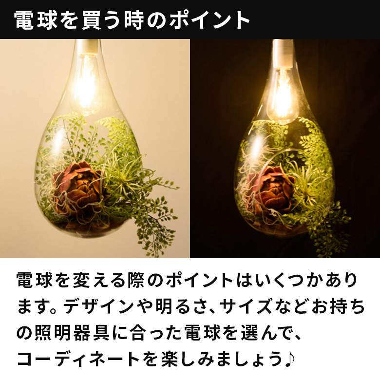 電球のポイント