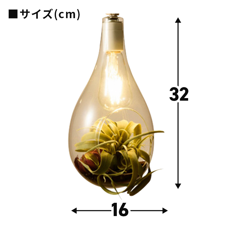 サイズ
