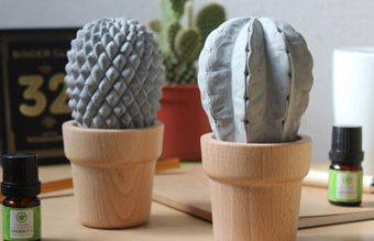 スターカクタス コンクリートディフューザー 5ml 