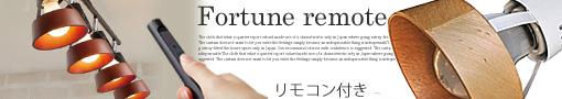 フォーチュンリモートシーリングランプ(Fortune remote-ceiling lamp) リモコン付き天井照明 アートワークスタジオ(ART WORK STUDIO) AW-0309