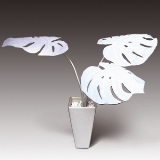 ベース Monstera deliciosa White