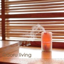 Caoru-living