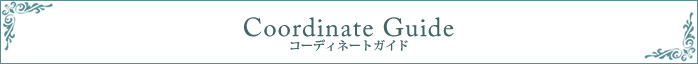 コーディネートガイド