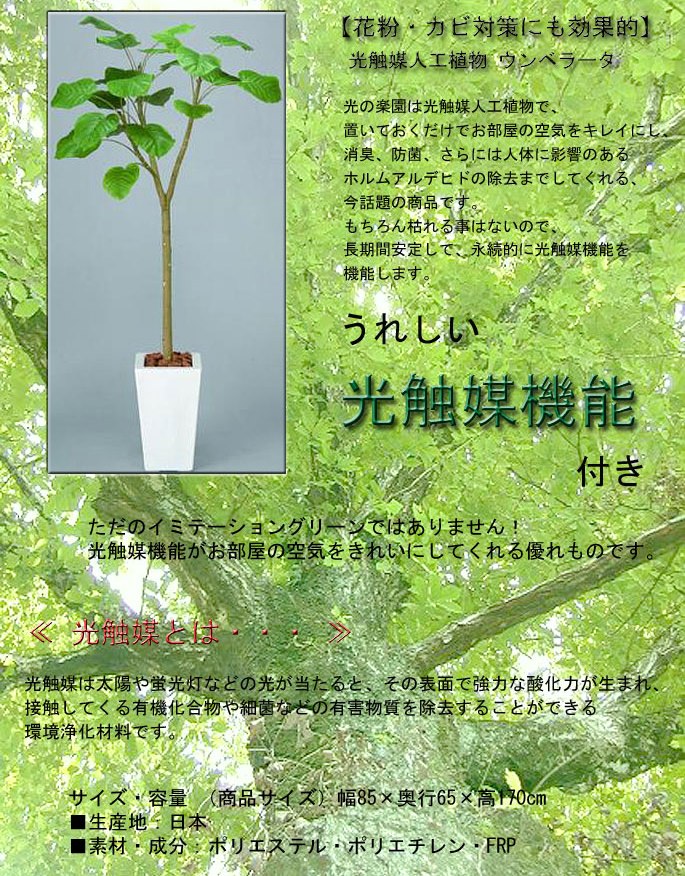 ウンベラータ A3303 350 イミテーショングリーン 送料無料 観葉植物 商品アイテムページ デザイナーズ家具 デザインインテリア雑貨 ｂｉｃａｓａ ビカーサ 家具通販 激安ショップ